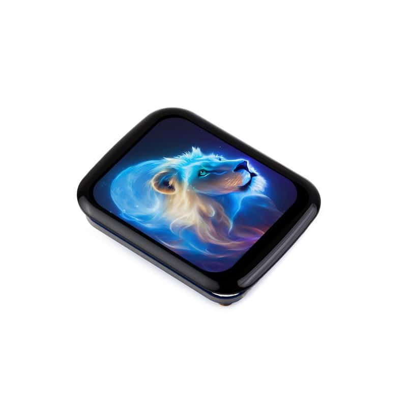 1.69inch Touch LCD Module