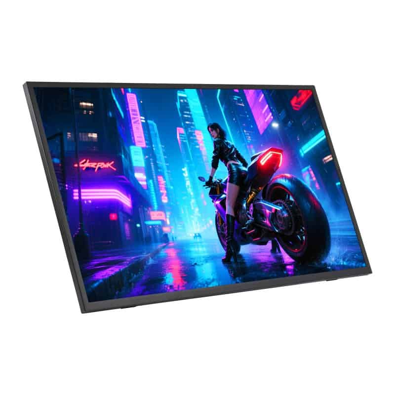 24.5`` 2K Portable Monitor (EU)