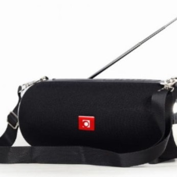 SPK-BT-17, Portable BT speaker, handsfree, 2x5W, FM, USB, SD, AUX, antena