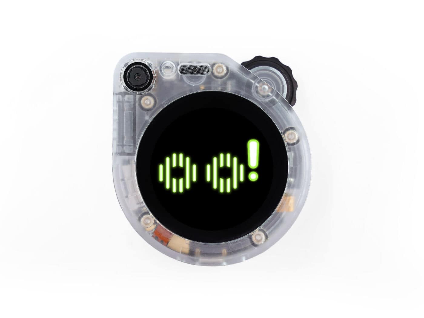 SenseCAP Watcher W1-B Transparent
