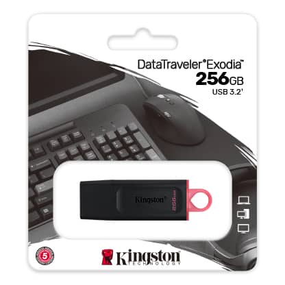 USB FD.256GB KINGSTON DTX/256GB