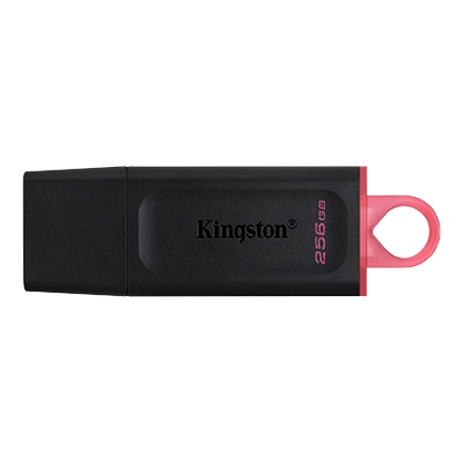 USB FD.256GB KINGSTON DTX/256GB