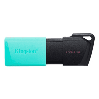 USB FD.256GB KINGSTON DTXM/256GB