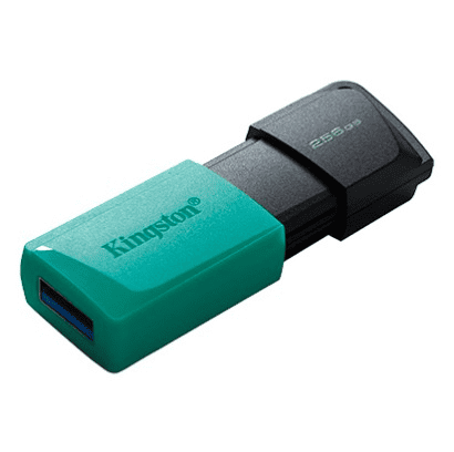 USB FD.256GB KINGSTON DTXM/256GB