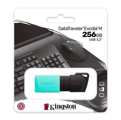 USB FD.256GB KINGSTON DTXM/256GB